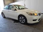 2013 Honda Accord Lx на продаже в Orlando, FL - Minor Dent/Scratches