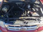Madisonville, TN에서 판매 중인 2010 Ford Escape Xlt - Front End