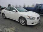 2010 Nissan Maxima S for Sale in Eugene, OR - Minor Dent/Scratches