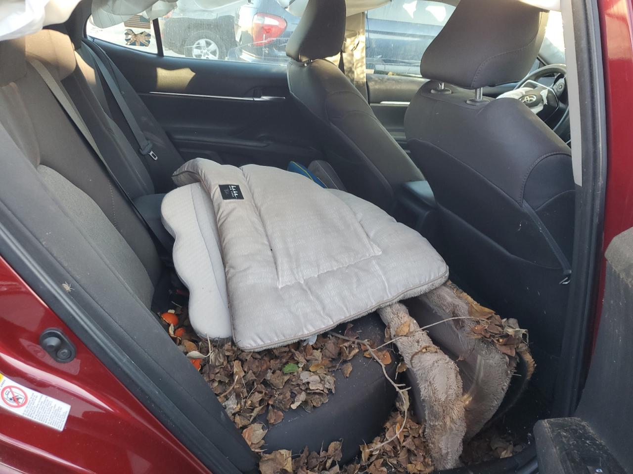 2019 Toyota Camry - Image 10
