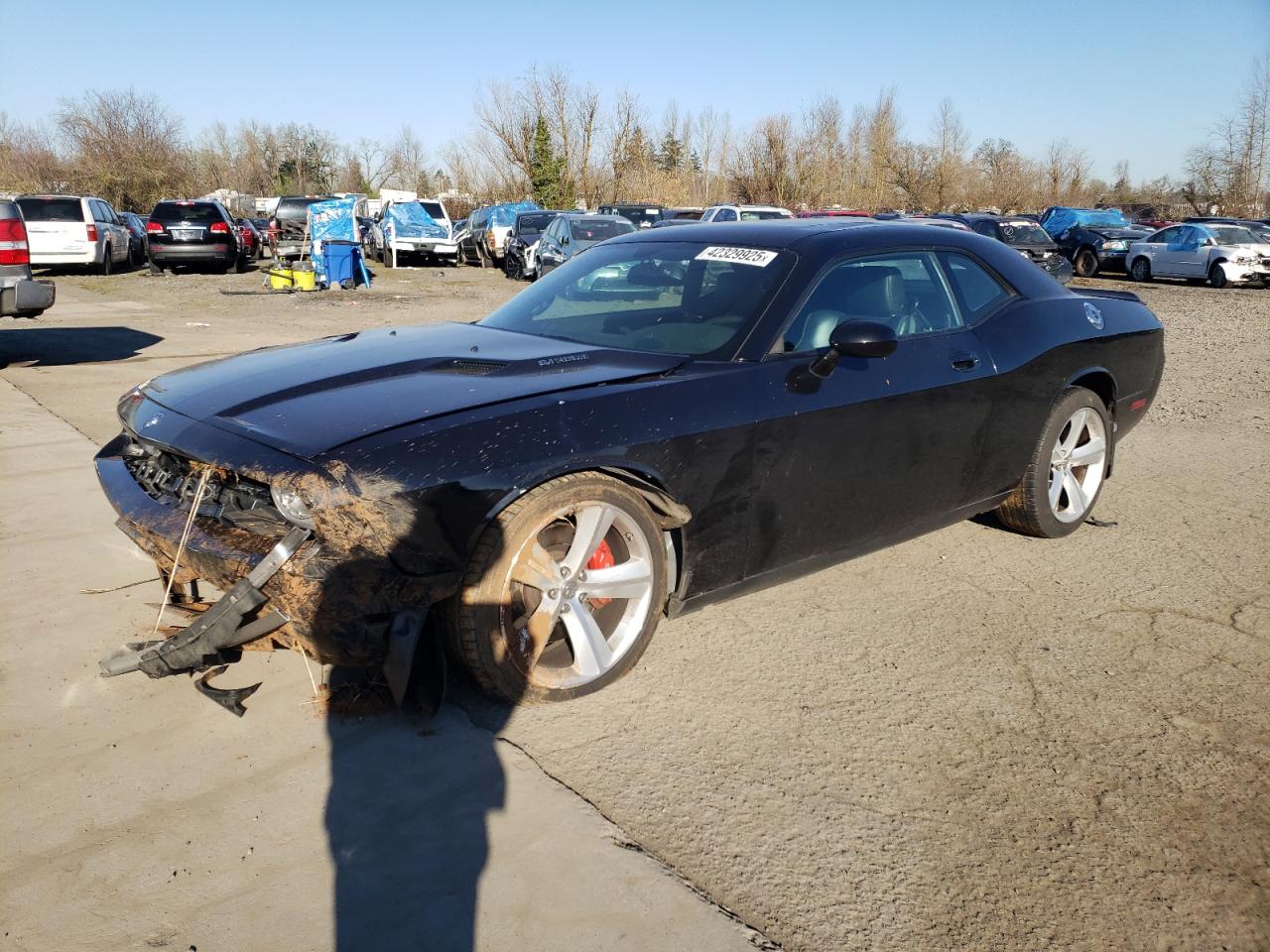2009 Dodge Challenger - Image 1