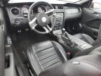 2011 Ford Mustang Gt للبيع في Houston، TX - Front End