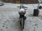 2023 Ducati Desert X  for Sale in Marlboro, NY - Front End
