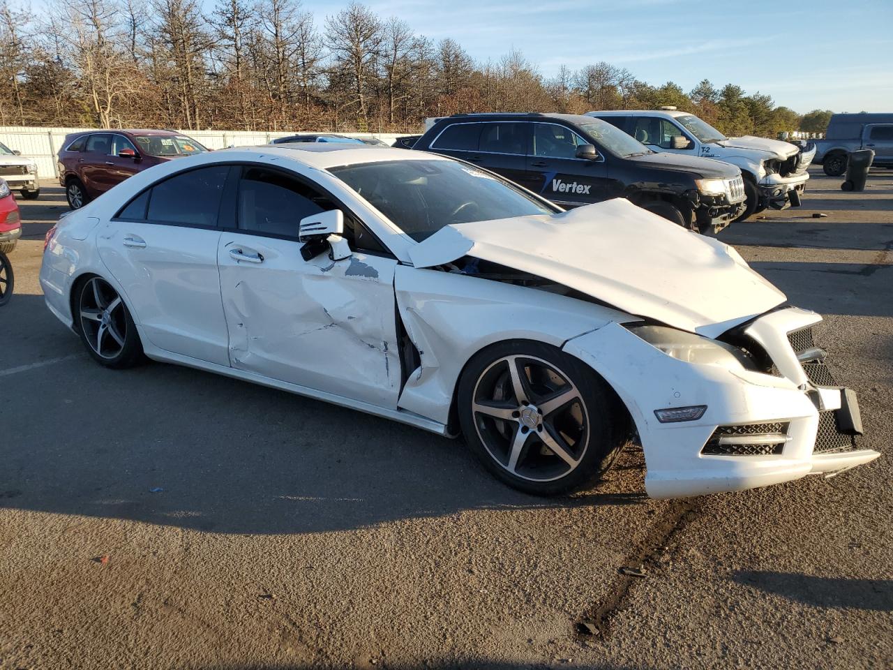 2014 Mercedes-Benz CLS-klasse - Image 4