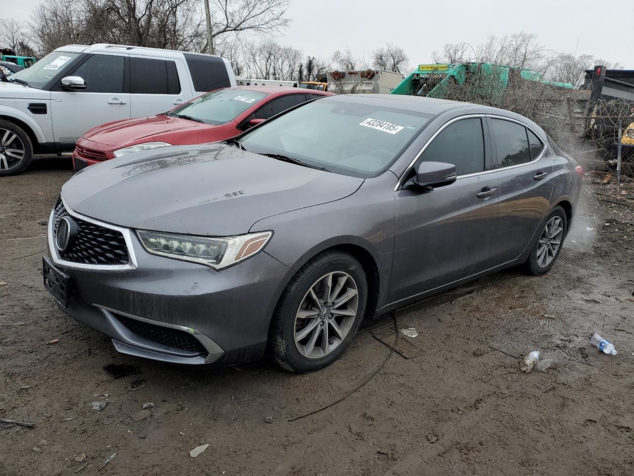 2019 Acura TLX - Image 1