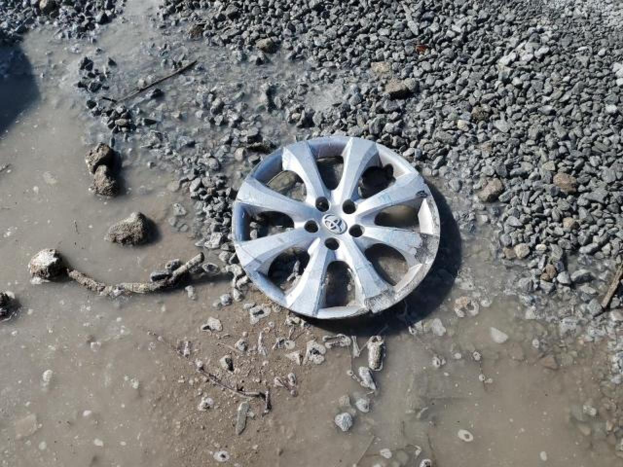 2021 Toyota Corolla Le VIN: 5YFEPMAE0MP208278 Lot: 43186725