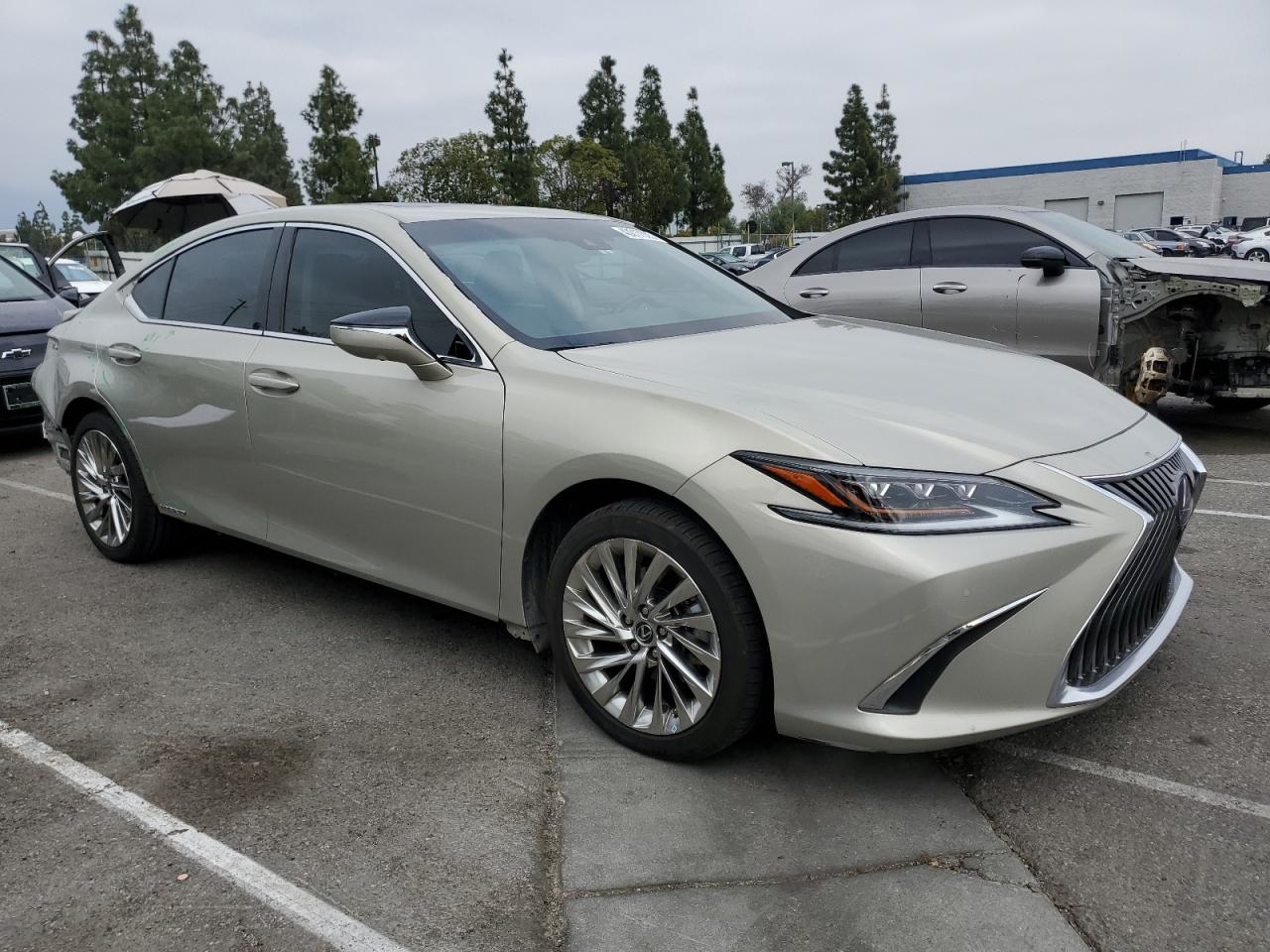 2021 Lexus ES - Image 4