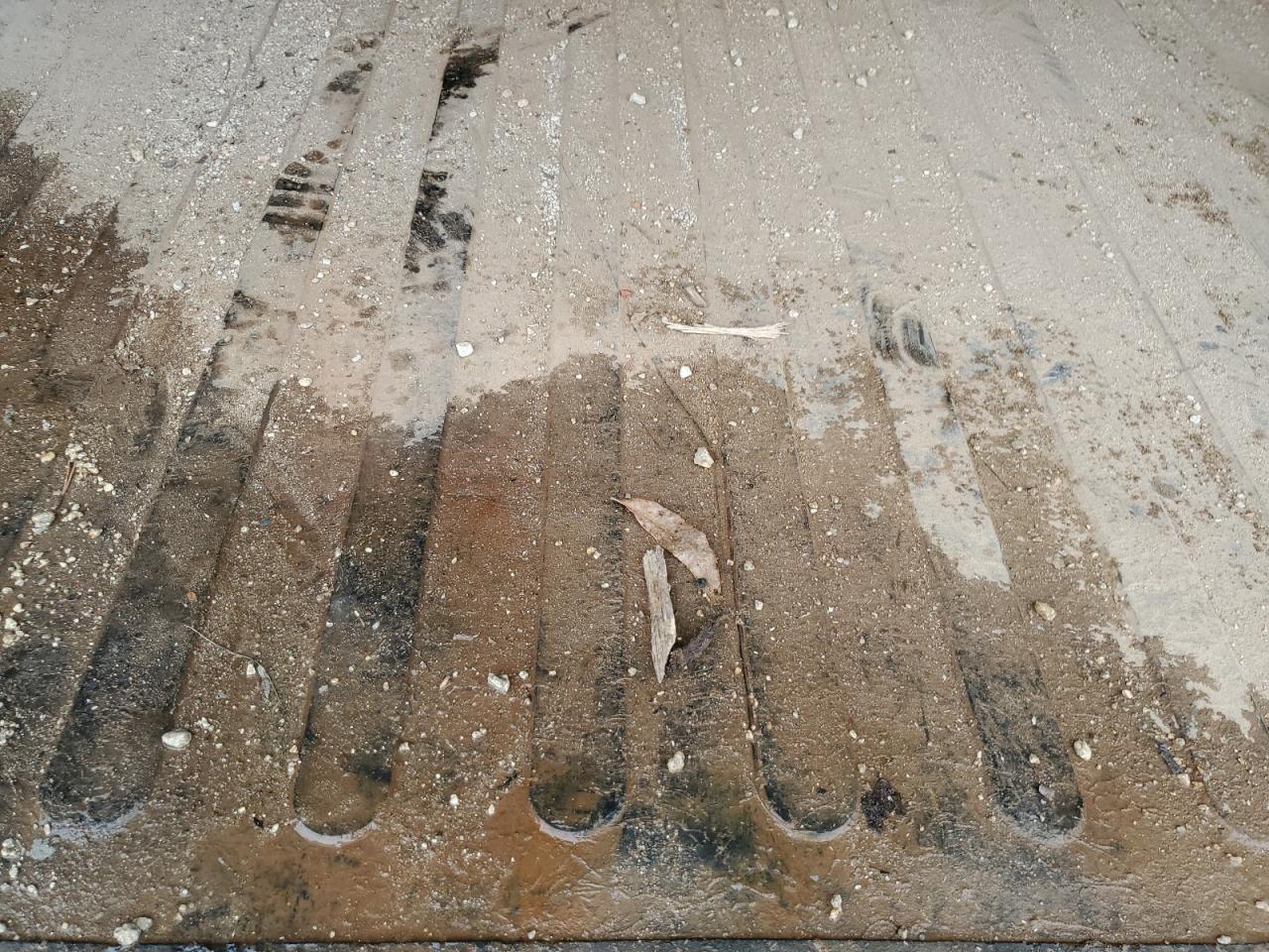 2012 Ford F150 VIN: 1FTMF1CM8CKD75194 Lot: 88237855