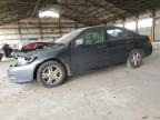 2006 Honda Accord Se للبيع في Phoenix، AZ - Front End