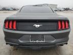 2019 Ford Mustang  for Sale in Houston, TX - Normal Wear