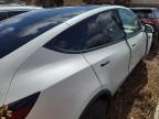 2021 Tesla Model Y  for Sale in Kapolei, HI - Front End