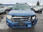 2010 Ford Escape Xlt de vânzare în Ham Lake, MN - Front End