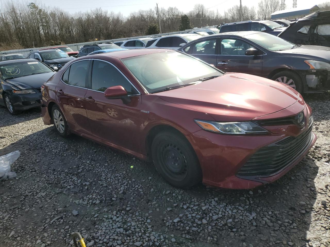 4T1B31HK5KU007688 TOYOTA CAMRY 2019
