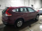 2014 Honda Cr-V Lx იყიდება Blaine-ში, MN - Front End