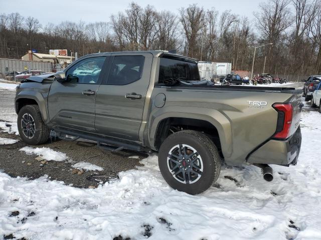  TOYOTA TACOMA 2024 Колір засмаги