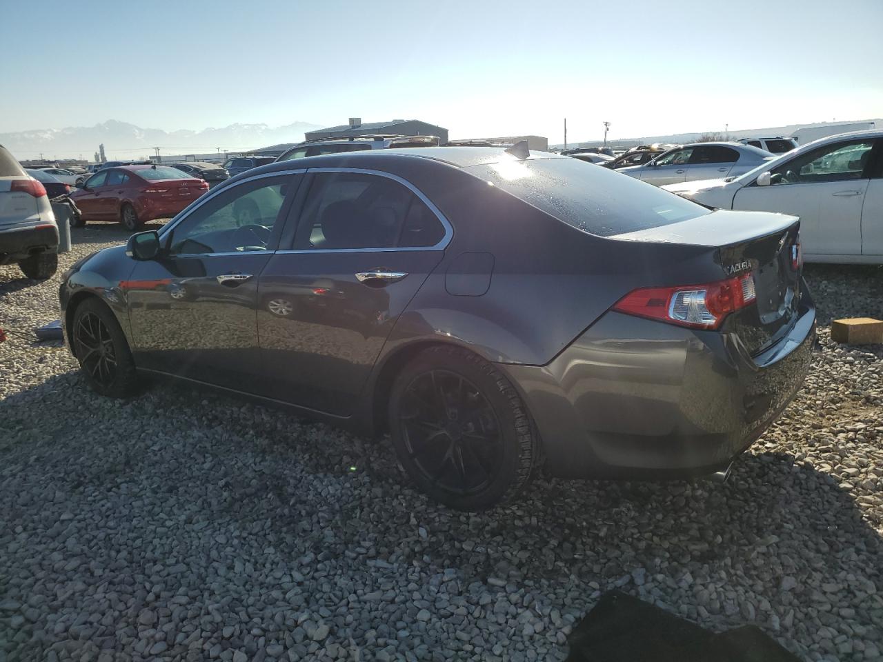 2010 Acura TSX - Image 2