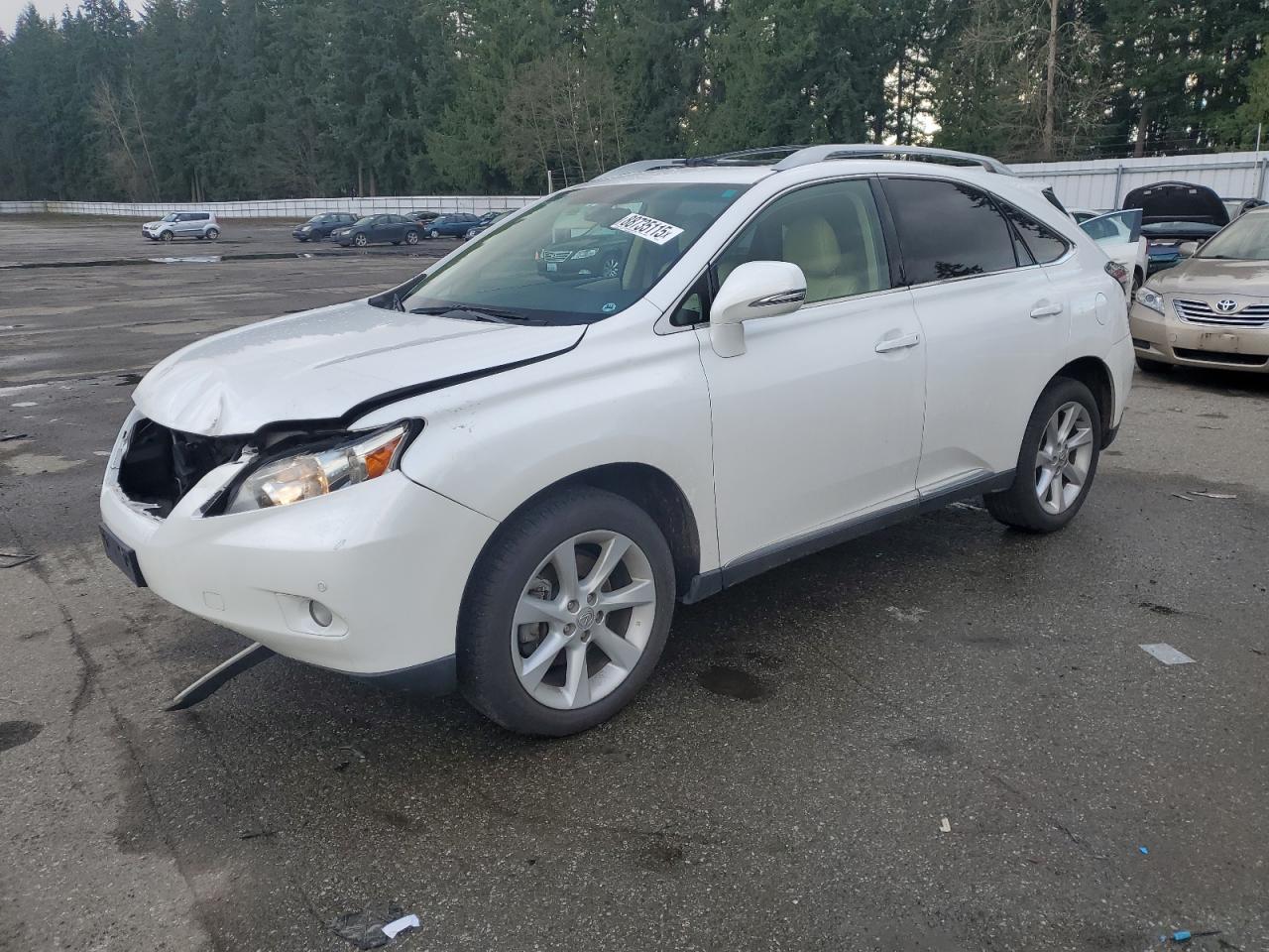 2010 Lexus RX - Image 1