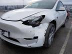 2022 TESL MODEL Y LO for sale at Copart CHESTER