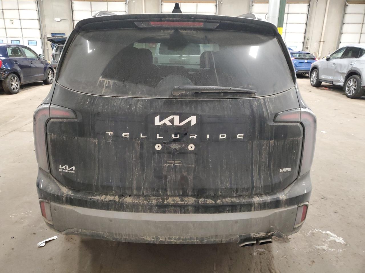2023 Kia Telluride Sx VIN: 5XYP5DGC8PG397050 Lot: 87598145