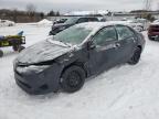 2019 Toyota Corolla L zu verkaufen in Columbia Station, OH - Front End