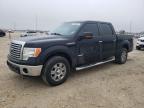 2012 Ford F150 Supercrew продається в New Braunfels, TX - All Over