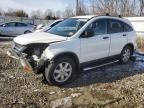 2011 Honda Cr-V Se продається в Windsor, NJ - Front End