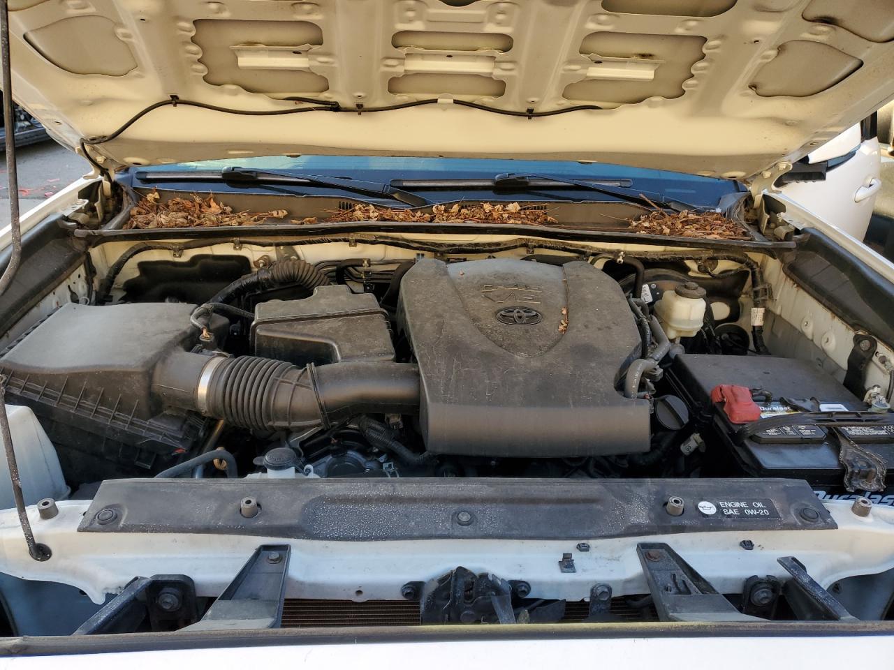 5TFCZ5AN7KX187564 TOYOTA TACOMA 2019