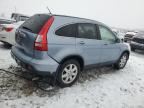 2007 Honda Cr-V Exl for Sale in Wayland, MI - Rear End