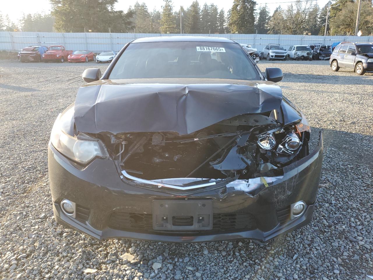 VIN JH4CU2F88DC011244 2013 ACURA TSX no.5