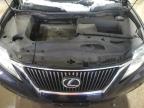 2010 Lexus Rx 350 en Venta en Blaine, MN - Side