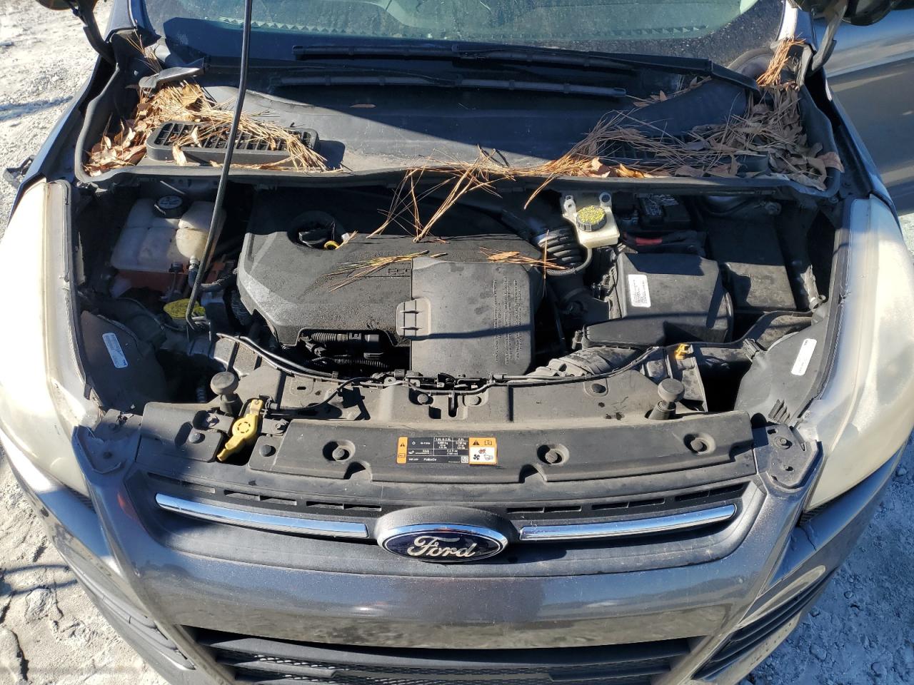 2014 Ford Escape - Image 12