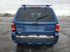 2010 Ford Escape Xlt de vânzare în Ham Lake, MN - Front End