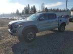 2023 Toyota Tacoma Double Cab zu verkaufen in Graham, WA - Rear End