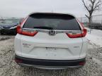 2019 Honda Cr-V Exl for Sale in Cicero, IN - Front End