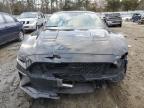 2021 Ford Mustang Gt for Sale in Seaford, DE - Rear End