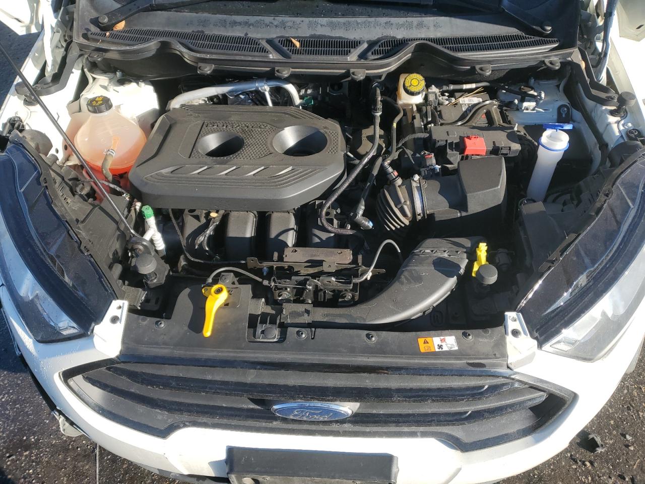 MAJ6S3FL5KC282621 FORD ECOSPORT 2019