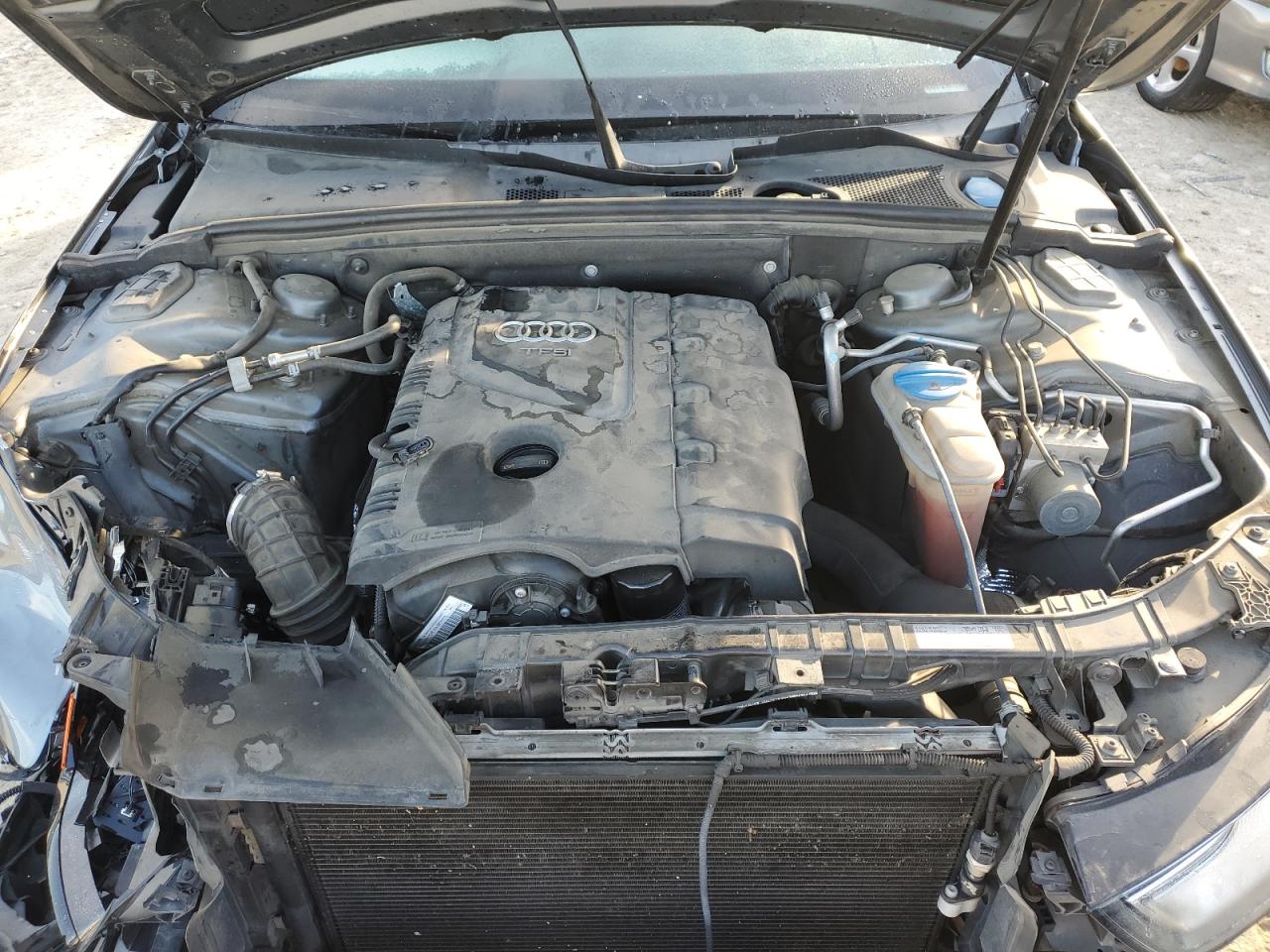 2013 Audi A4 Premium Plus VIN: WAUEFAFLXDN029507 Lot: 88666135