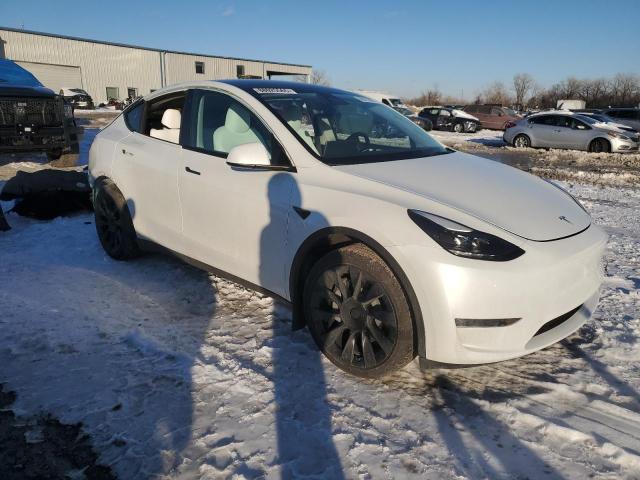  TESLA MODEL Y 2023 Белы