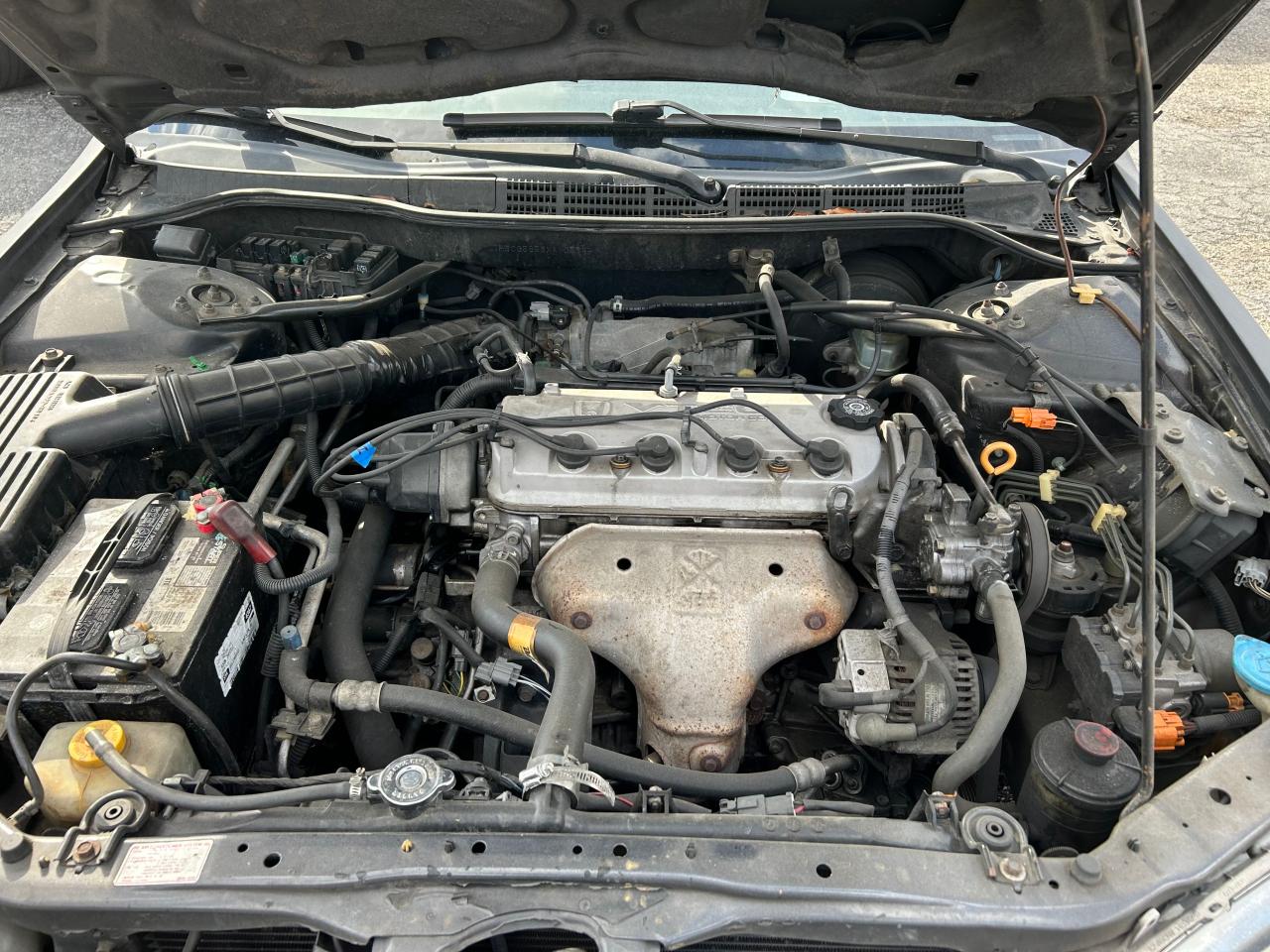 1999 Honda Accord - Image 7