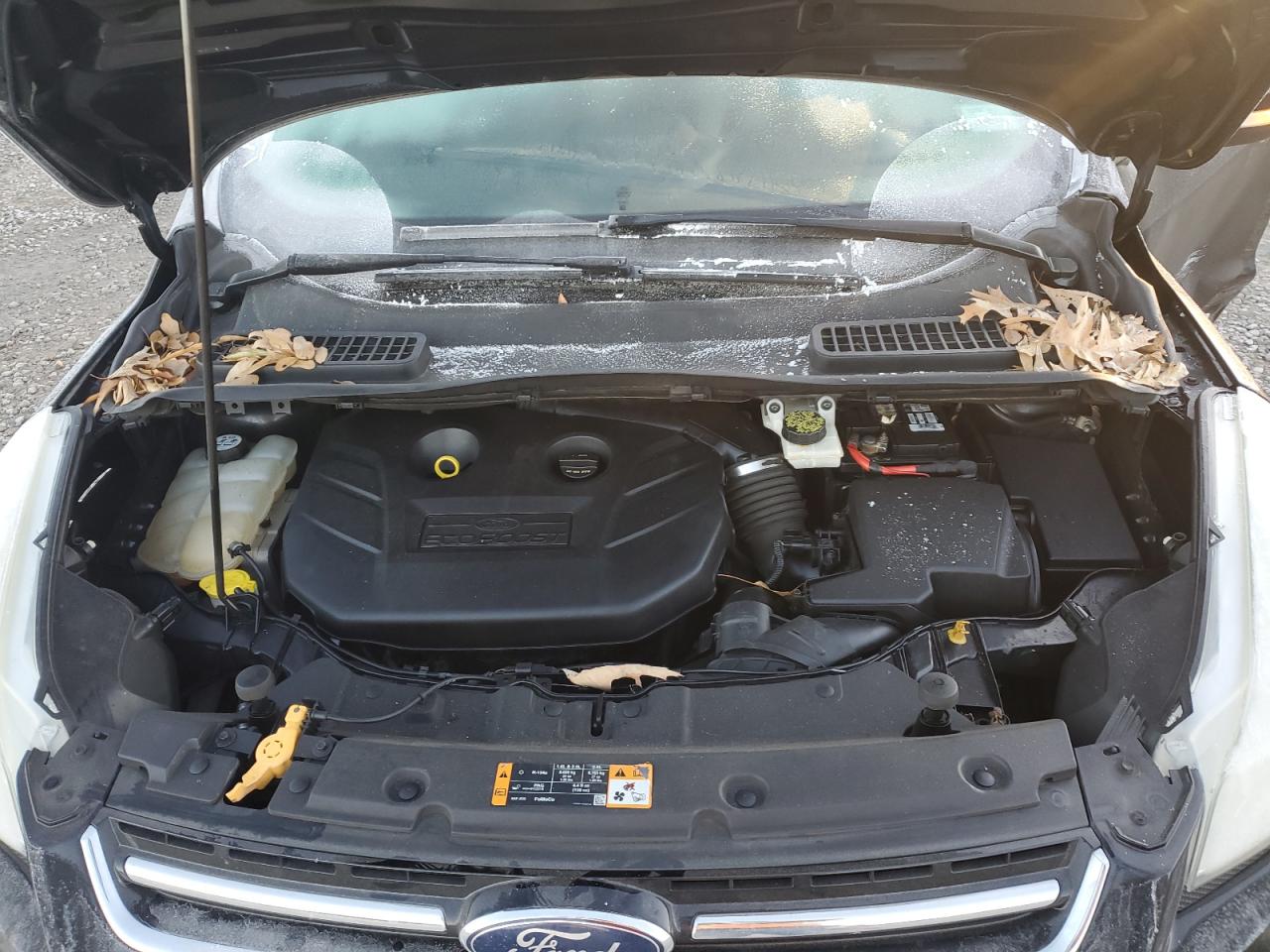 2013 Ford Escape - Image 13