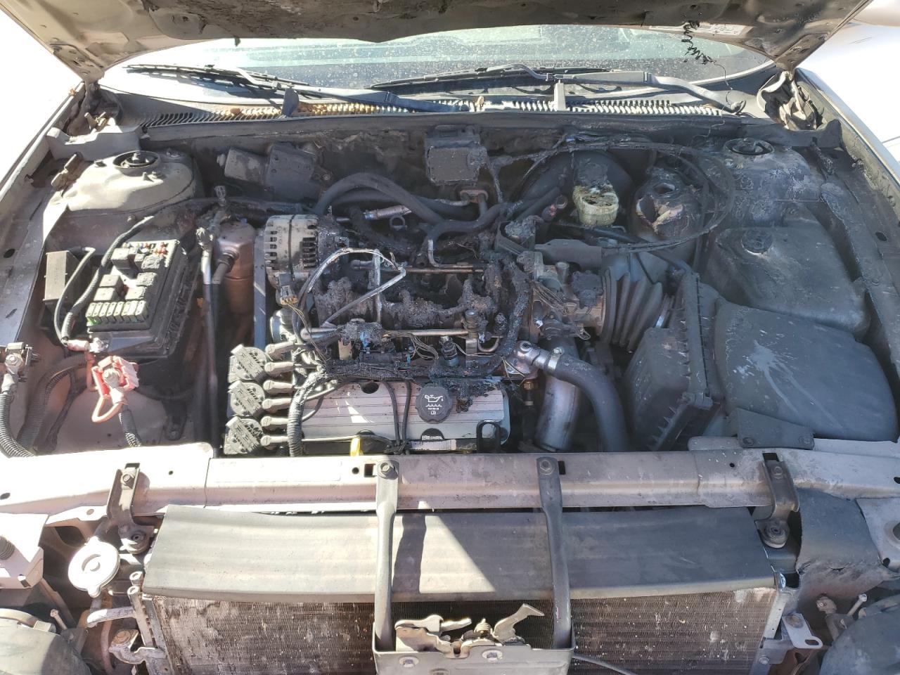 1999 Buick Park Avenue - Image 13