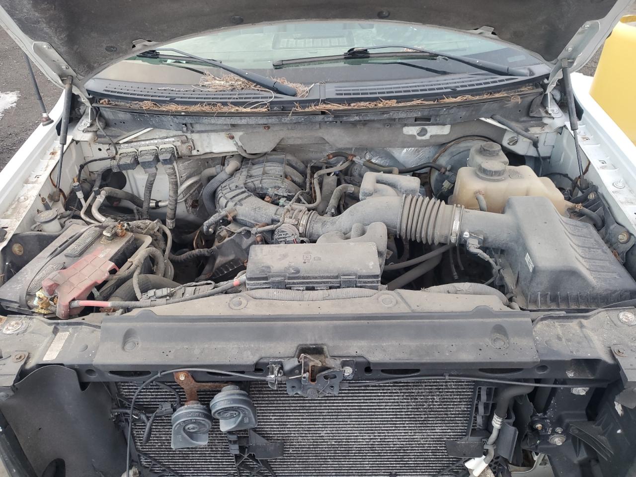 2013 Ford F-150 - Image 11