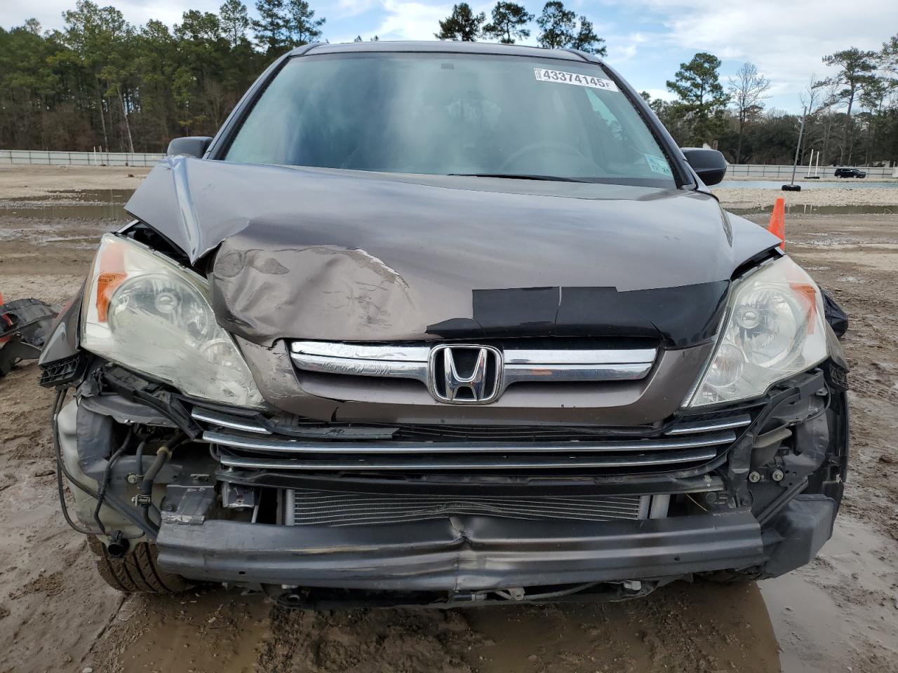 2009 Honda CR-V - Image 5