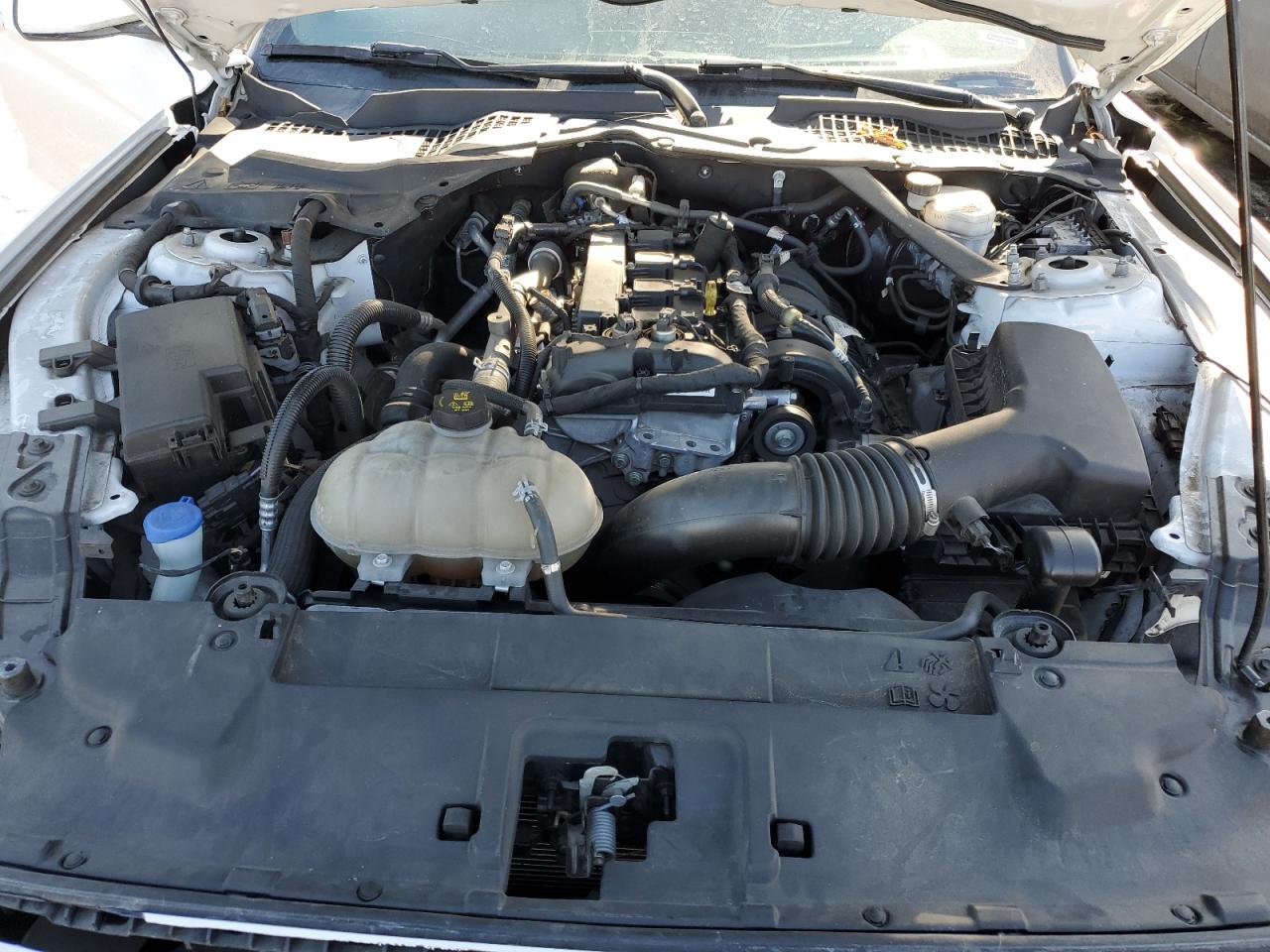 1FATP8UH7M5125275 FORD ALL Models 2021