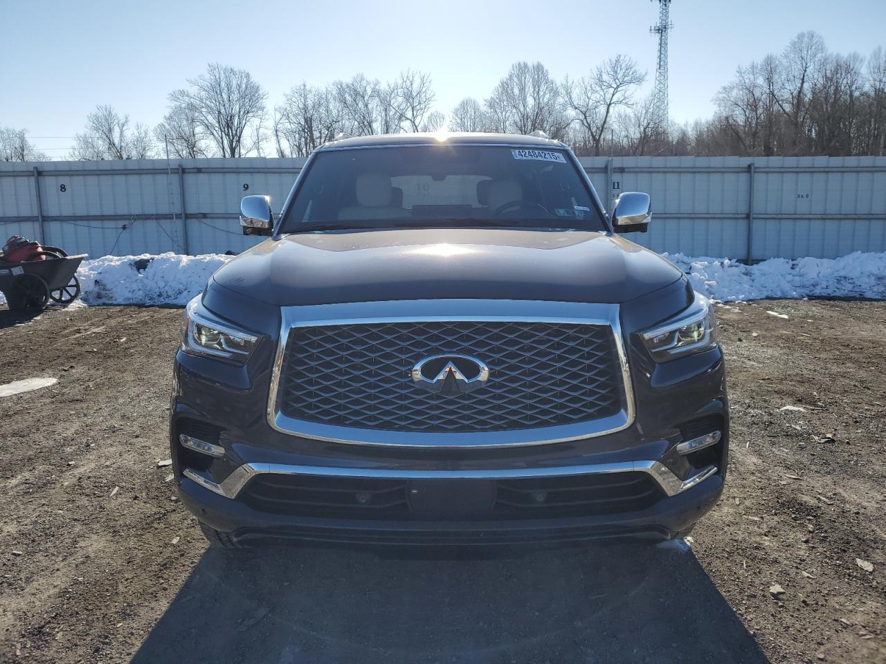 2024 Infiniti QX80 - Image 5