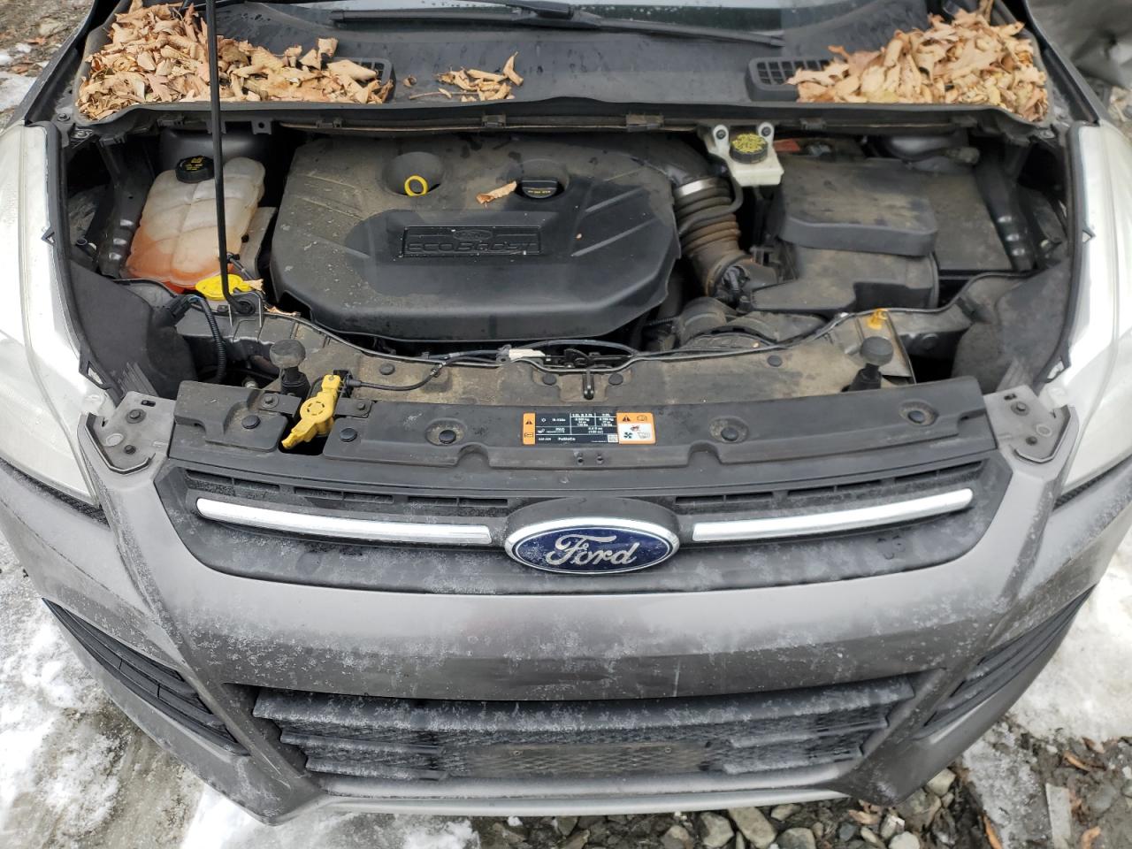 2014 Ford Escape - Image 12