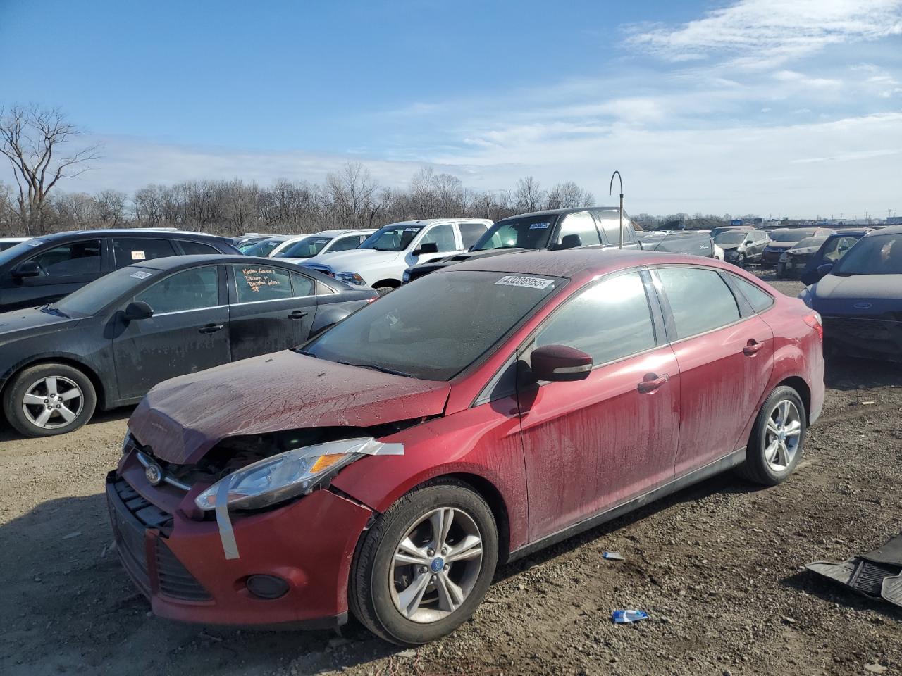 2013 Ford Focus - Image 1