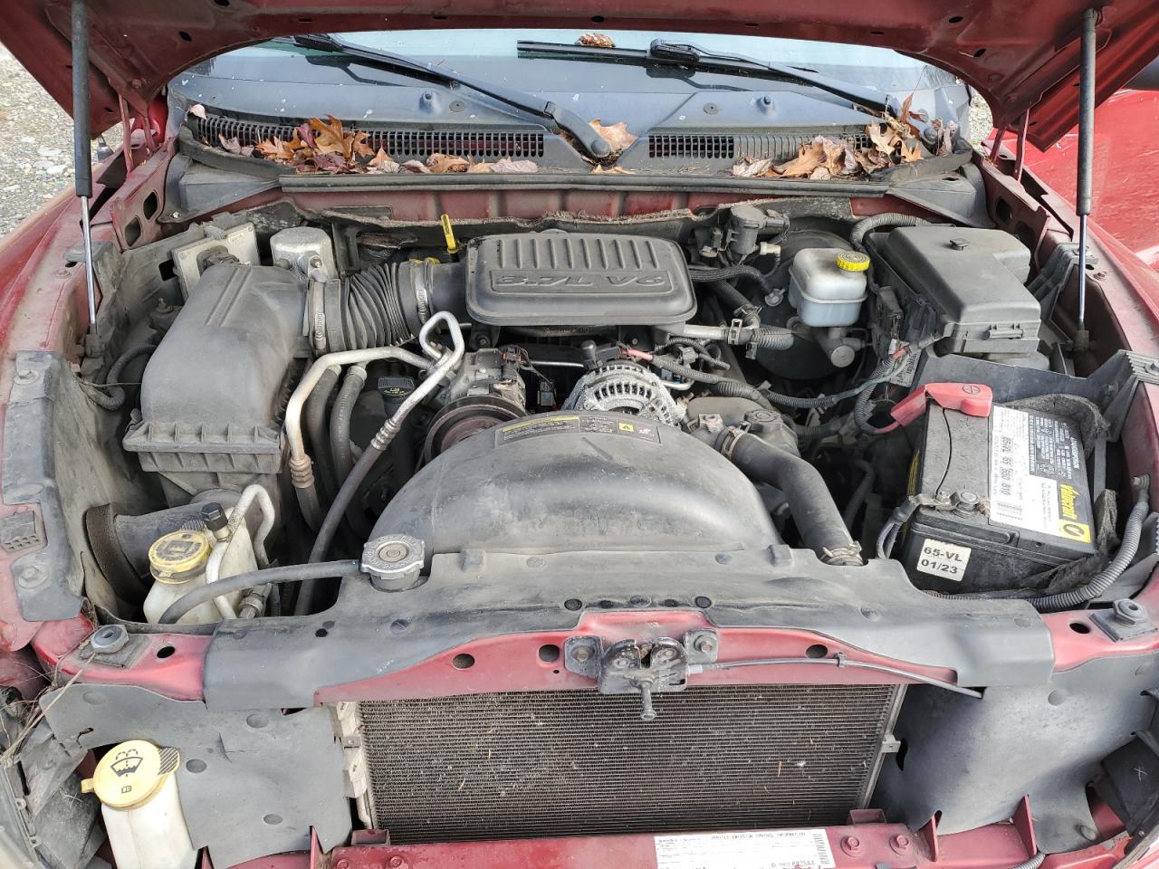 2008 Dodge Dakota Sxt VIN: 1D7HE32K98S505285 Lot: 41872345