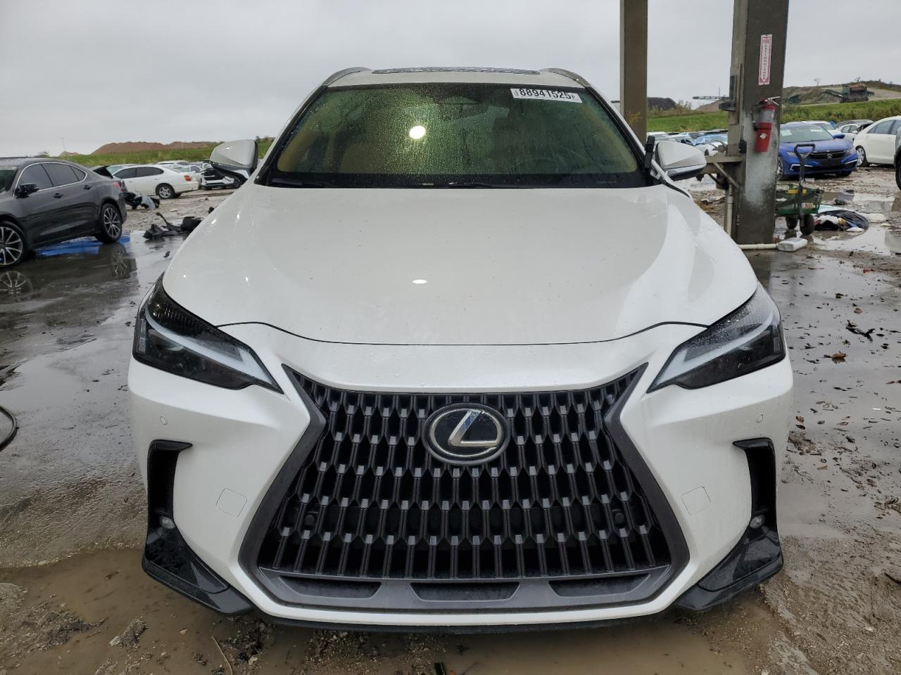 2024 Lexus NX - Image 5