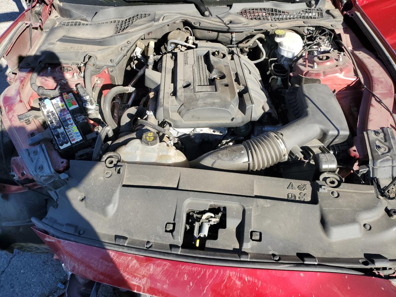 2019 Ford Mustang - Image 11
